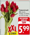 Tulpenstrauß XL Angebote bei E center Singen für 5,99 €