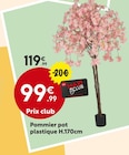 Pommier pot plastique à 99,99 € dans le catalogue Maxi Bazar