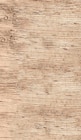 REWE Großbreitenbach - Fleischwurst Angebot im Prospekt Fleischwurst bei REWE im Großbreitenbach Prospekt für 0,99 €