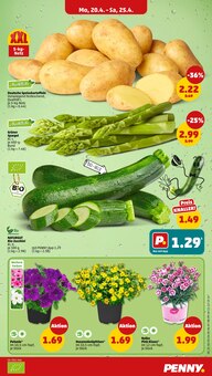 Blumen im Penny Prospekt "Wer günstig will, muss Penny." mit 38 Seiten (Mannheim)