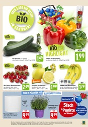 Aktueller E center Prospekt mit Blumentopf, "Aktuelle Angebote", Seite 7