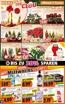 Weihnachtsbaum im Norma Prospekt "Mehr fürs Geld" mit 16 Seiten (Falkensee)