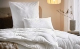 Ganzjahresbett „Levante“ im XXXLutz Prospekt Ganzjahresbett „Levante“ von sleeptex im aktuellen XXXLutz Prospekt für 19,99 €