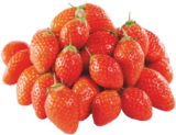 FRAISE CIFLORETTE à Grand Frais dans Augny FRAISE CIFLORETTE à Grand Frais dans Augny