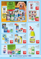 Persil im Marktkauf Prospekt in Leipzig Aktueller Marktkauf Prospekt mit Persil, "AUSWAHL RIESIG, PREISE NIEDRIG", Seite 26