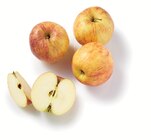 Supermarchés Match Quiévrechain - Promo Pomme Jonagold Promo Pomme Jonagold à 2,29 € dans le catalogue Supermarchés Match à Quiévrechain