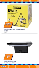 Staubsauger im Action Prospekt in Meerbusch Aktueller Action Prospekt mit Staubsauger, "Wochenangebote", Seite 13