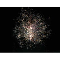 Multicolor-Goldpalmen-Batterie 'Heaven's Glow'