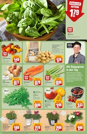 Aktueller REWE Prospekt mit Garten, "Dein Markt", Seite 7