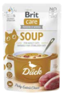 Pflanzen Kölle - Soup Angebot im Prospekt Soup bei Pflanzen Kölle im Prospekt für 0,77 €