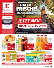 Aktueller Kaufland Prospekt mit Nescafe, "Aktuelle Angebote", Seite 1