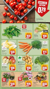 Tomaten im REWE Prospekt "Dein Markt" mit 22 Seiten (Karlsruhe)
