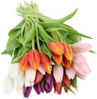 Aktuelles Tulpen Angebot bei REWE in Trier ab 2,49 €