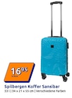 Action Herten - Koffer Sansibar Angebot im Prospekt Koffer Sansibar bei Action im Herten Prospekt für 16,95 €