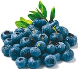 Netto mit dem Scottie Angermünde - Heidelbeeren Angebot im Prospekt Heidelbeeren bei Netto mit dem Scottie im Angermünde Prospekt für 1,49 €