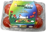 gekochte BH Eier im REWE Prospekt gekochte BH Eier von Obermeier im aktuellen REWE Prospekt für 2,29 €