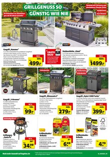 hagebau kompakt Prospekt der KW 25 "HIER GRILLT DEIN BESTPREIS" Aktueller hagebau kompakt Prospekt "HIER GRILLT DEIN BESTPREIS" Seite 2 von 8 Seiten