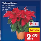 Weihnachtsstern Angebote bei Netto Marken-Discount Aschaffenburg für 2,49 €