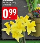 Narzissen bei EDEKA im Duisburg Prospekt für 0,99 €
