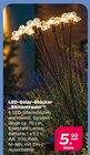 LED-Solar-Stecker „Blütentraum“ für 5,99 € bei Netto mit dem Scottie im Angebot LED-Solar-Stecker „Blütentraum“ im aktuellen Netto mit dem Scottie Prospekt