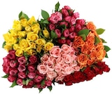 Moosrosen Angebote bei REWE Wetzlar für 3,69 €