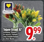 Tulpen-Strauß XL von Edeka im aktuellen EDEKA Prospekt für 9,99 €