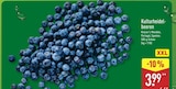 Kulturheidelbeeren für 3,99 € bei ALDI Nord im Angebot Kulturheidelbeeren im aktuellen ALDI Nord Prospekt