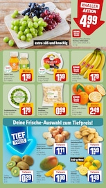 Ähnliche Lebende Futtertiere Angebote im Prospekt "Dein Markt" von REWE in Oldenburg Ähnliche Angebote wie Lebende Futtertiere im Prospekt "Dein Markt" auf Seite 8 von REWE in Oldenburg