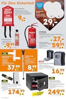 Dampfreiniger Angebot im aktuellen Globus-Baumarkt Prospekt auf Seite 10