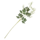 Kunstblume bei Ernstings family im Blankenfelde Prospekt für 3,99 €