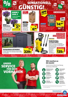 Blumen im aktuellen hagebau kompakt Prospekt (Osnabrück) Blumen im hagebau kompakt Prospekt "SCHNAPP DIR DIE SUPERDEALS" mit 8 Seiten (Osnabrück)