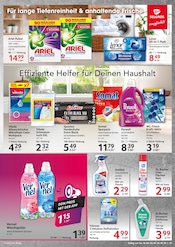 Aktueller Selgros Prospekt mit Weichspüler, "cash & carry", Seite 19
