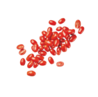 Tomates cerises dans le catalogue Aldi