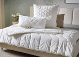 Aktuelle Kopfkissen Angebote bei XXXLutz in Stuttgart Aktuelles Ganzjahresbett Angebot bei XXXLutz in Stuttgart ab 34,99 €