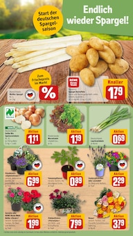 Spargel im REWE Prospekt "Dein Markt" mit 16 Seiten (Wiesbaden)