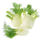 Bio Fenchel Angebote von REWE Bio bei REWE Langenhagen für 2,99 €