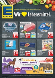 Der aktuelle EDEKA Prospekt Der aktuelle EDEKA Prospekt Wir lieben Lebensmittel!