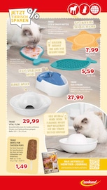 Katzenzubehör Angebote im Prospekt "Mit Leichtigkeit DURCH DEN SOMMER" von Zookauf auf Seite 5
