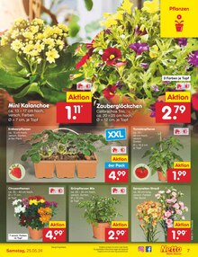 Gartenpflanzen im Netto Marken-Discount Prospekt "Aktuelle Angebote" mit 55 Seiten (Cottbus)