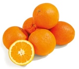 Orangen bei Netto mit dem Scottie im Prospekt "" für 3,99 €
