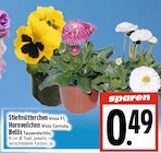 Stiefmütterchen Viola F1 im Angebot bei EDEKA in Gießen Stiefmütterchen Viola F1 Angebote bei EDEKA Gießen für 0,49 €