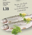Ausgenommene Forelle im aktuellen Prospekt bei EDEKA in Rösrath