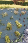 Toile de paillage Agrosol Nortene® dans le catalogue Jardiland