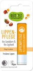 Gesichtspflege im Netto Marken-Discount Prospekt Lippenpflege von BLÜTE ZEIT im aktuellen Netto Marken-Discount Prospekt für 1,49 €