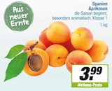 Angebot im EDEKA Kamen Prospekt EDEKA Kamen Prospekt mit im Angebot fĂŒr 3,99 âŹ