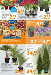 Getränke Angebot & Preis im aktuellen Globus-Baumarkt Prospekt Getränke Angebot im aktuellen Globus-Baumarkt Prospekt auf Seite 7