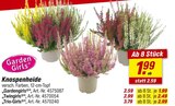 Angebot im toom Baumarkt München Prospekt toom Baumarkt München Prospekt mit  im Angebot für 1,99 €