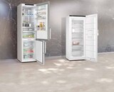 EP: - Stand-Gefrierschrank GS54NEWCV Angebot im Prospekt Stand-Gefrierschrank GS54NEWCV bei EP: im Prospekt "" für 899,00 €