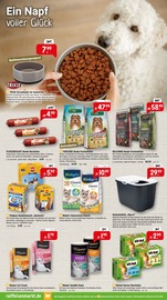 Aktueller Raiffeisenmarkt Prospekt mit Katzenstreu, "Richtig durchstarten: Mit den richtigen Angeboten ins neue Jahr.", Seite 3