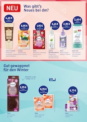 Shampoo Angebote im Prospekt "Fröhliche Vorweihnachten" von dm-drogerie markt auf Seite 3